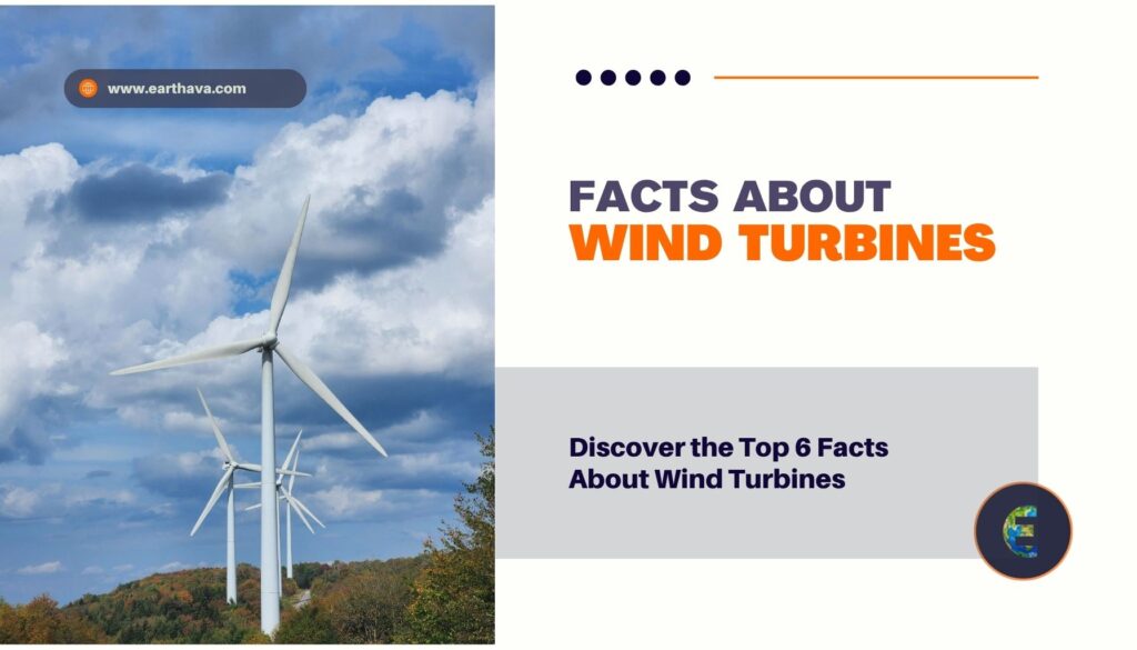 Featured image of article "Discover the Top 6 Facts About Wind Turbines" on Earthava