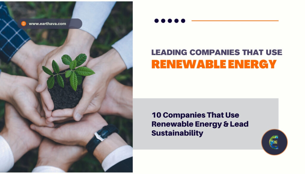 10 Companies That Use Renewable Energy & Lead Sustainability