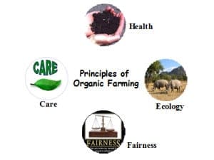 Embracing Organic Farming For Improved Health