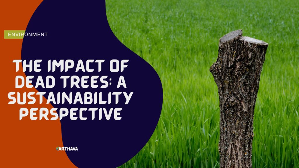 The Impact of Dead Trees A Sustainability Perspective
