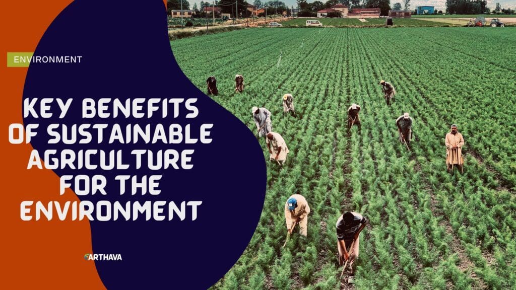 Key Benefits of Sustainable Agriculture for the Environment