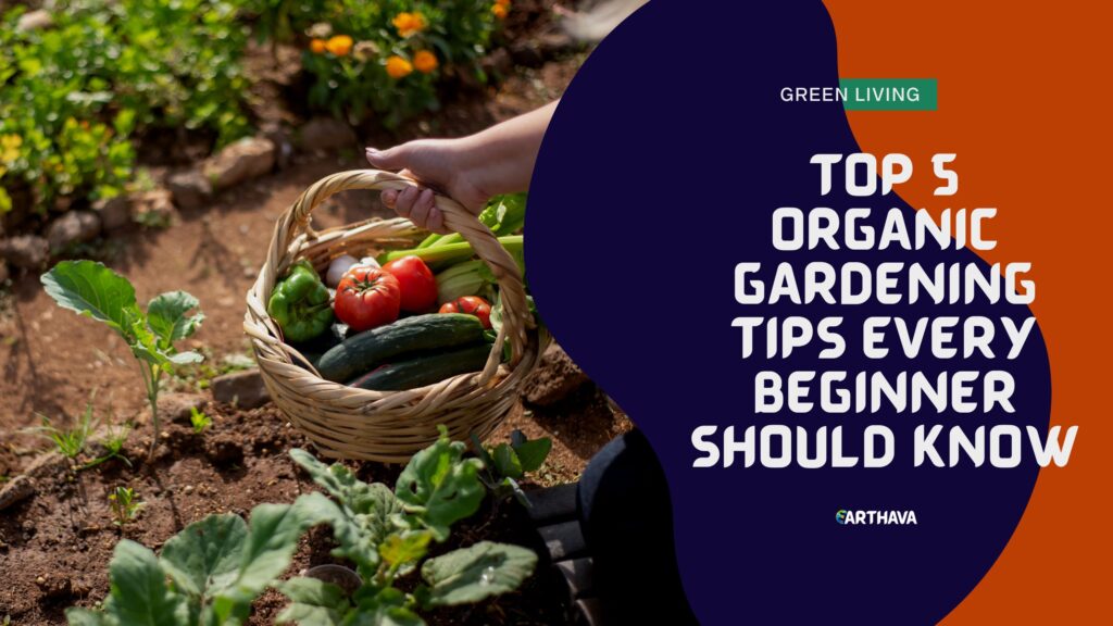 Top 5 Organic Gardening Tips Every Beginner Should Know