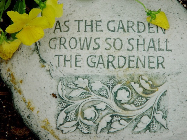 How To Start Thinking Like A Gardener?