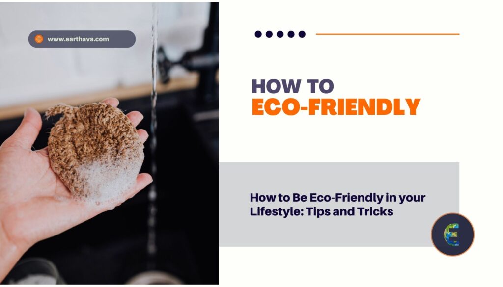 Featured image of article "How to Be Eco-Friendly in Your Lifestyle: Tips and Tricks" on Earthava.