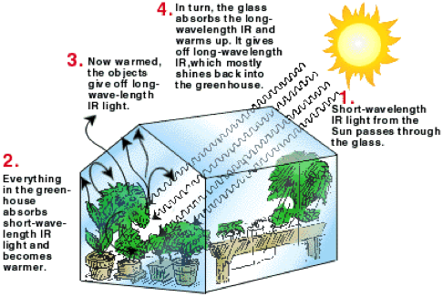 How do GreenHouses Work?