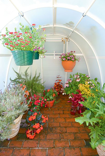 Solexx Early Bloomer Greenhouse Kit.