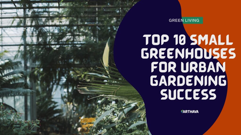 Top 10 Small Greenhouses for Urban Gardening Success