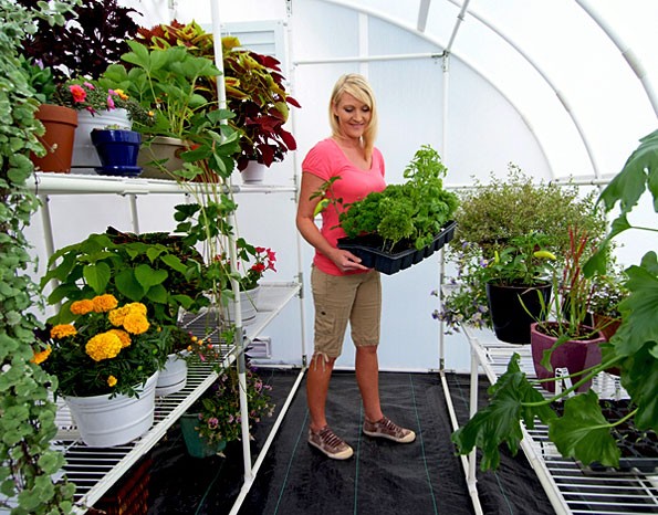 Solexx Harvester Greenhouse Kit
