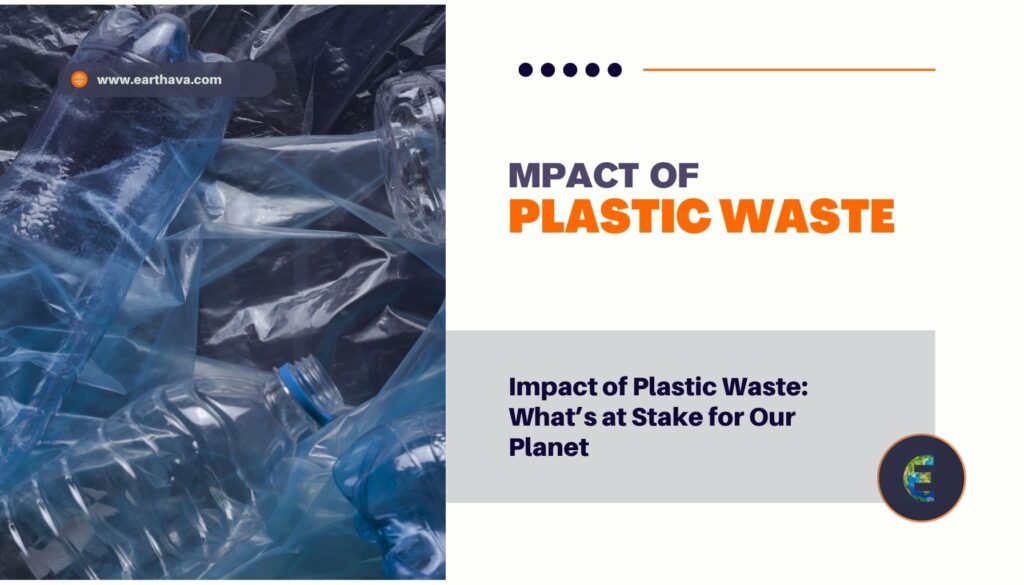 Impact of Plastic Waste: What’s at Stake for Our Planet