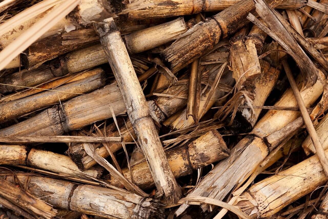 Barriers to the Development of Next Generation Biofuels Barriers to the Development of Next Generation Biofuels