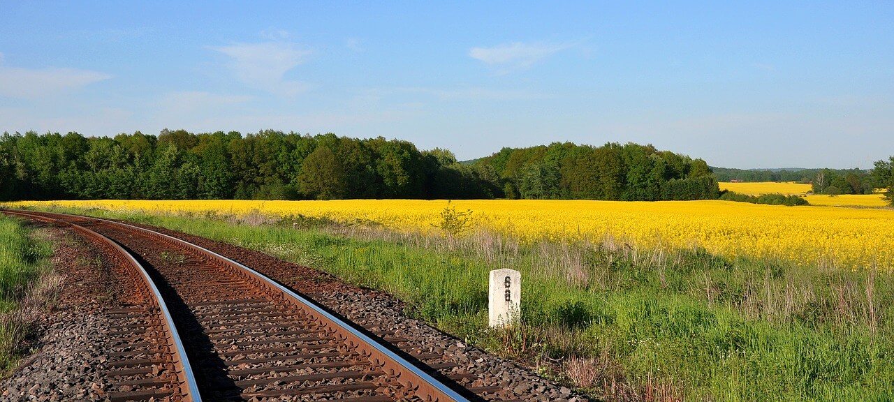 Barriers to the Development of Next Generation Biofuels