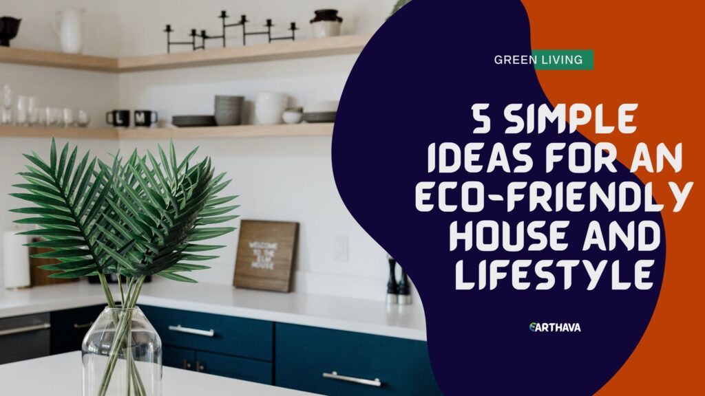 5 Simple Ideas For an Eco-Friendly House and Lifestyle