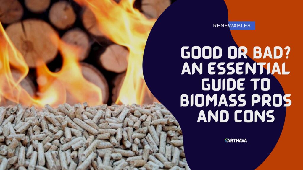 Good or Bad? An Essential Guide to Biomass Pros and Cons