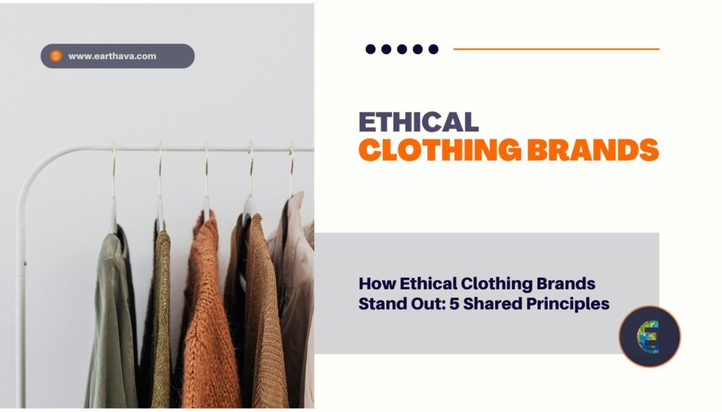 How Ethical Clothing Brands Stand Out: 5 Shared Principles