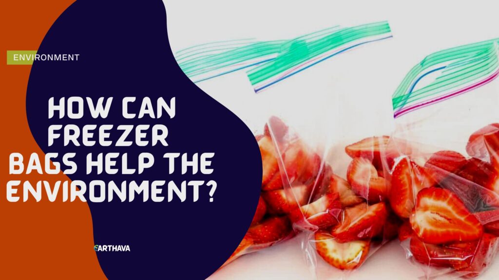 How Can Freezer Bags Help The Environment