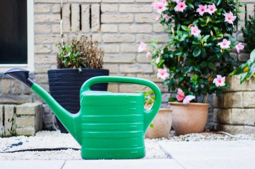 How to Save Water Inside & Outside Home.