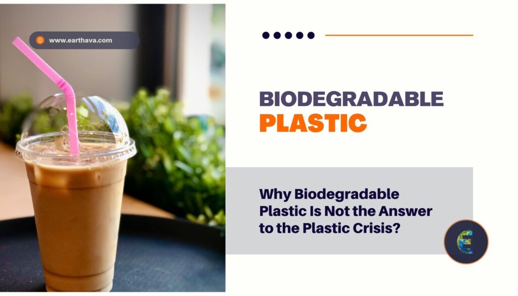 Why Biodegradable Plastic Is Not the Answer to the Plastic Crisis