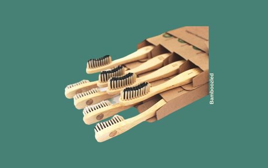 Bamboozled Charcoal Infused Bamboo Toothbrush