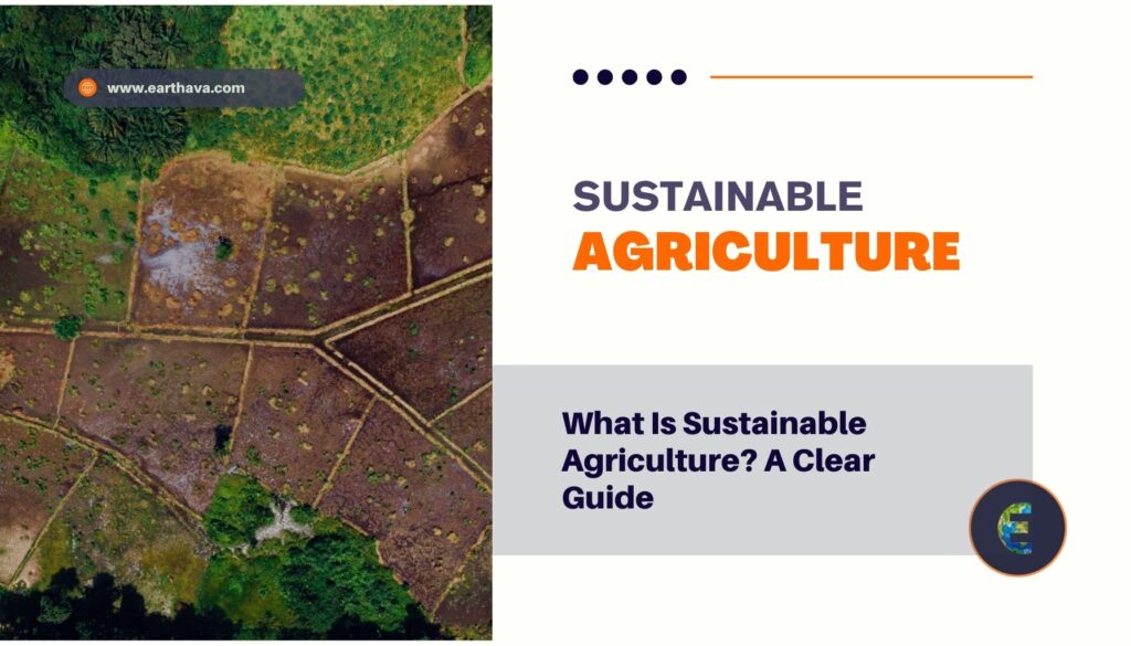 What Is Sustainable Agriculture? A Clear Guide