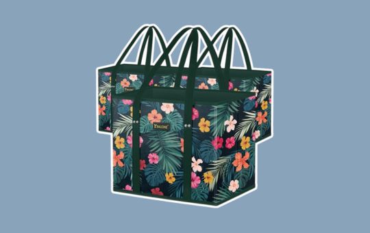 Reviews and Buying Guide- Earthava BALEINE 3Pk Reusable Grocery Bags, Foldable Shopping Bags with Reinforced Bottom & Handles (Blossom Season design)