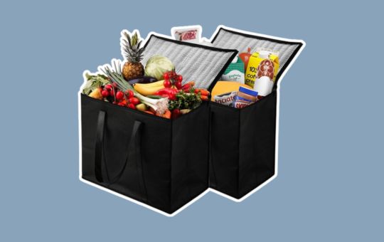 Reviews and Buying Guide- Earthava NZ Home XL Insulated Shopping Bags – Extra-large, reusable grocery bags with thermal insulation, durable zippers, and reinforced handles, ideal for groceries, food delivery, and catering.