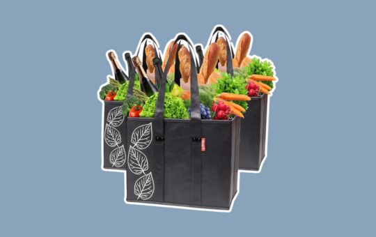 Reviews and Buying Guide- Earthava Planet E Reusable Grocery Bags – Sturdy, eco-friendly shopping bags with reinforced handles, designed for durability and sustainability.