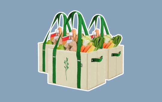 Reviews and Buying Guide- Earthava The Green Bulldog Reusable Grocery Bags