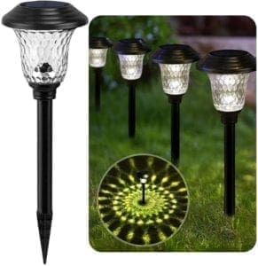 BEAU JARDIN solar pathway lights elegantly illuminating a garden walkway, featuring stainless steel design and warm LED lighting powered by solar energy.