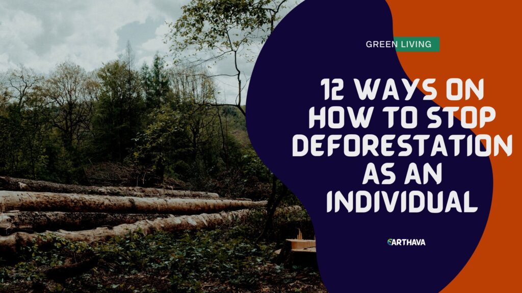 12 Ways on How to Stop Deforestation as an Individual