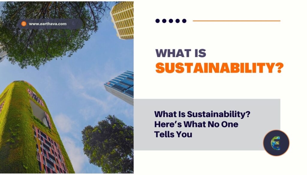 What Is Sustainability? Here’s What No One Tells You
