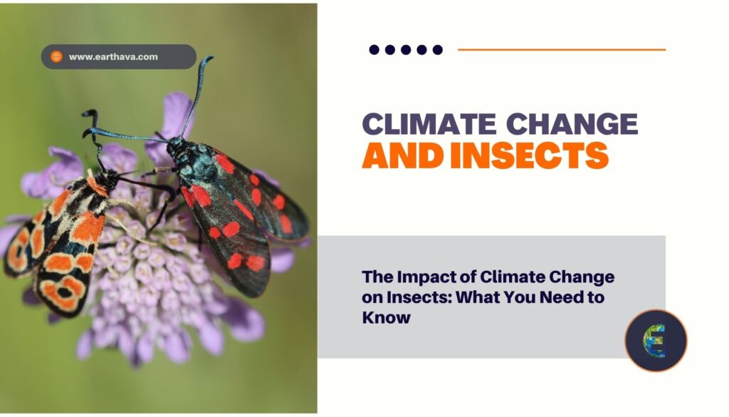 Featured image of article "The Impact of Climate Change on Insects: What You Need to Know" on Earthava