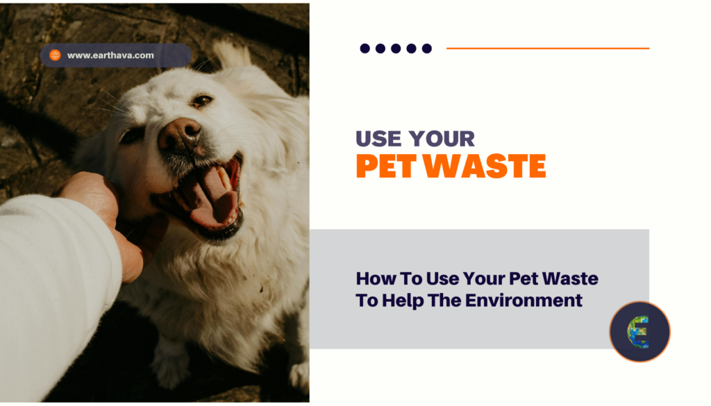 How To Use Your Pet Waste To Help The Environment