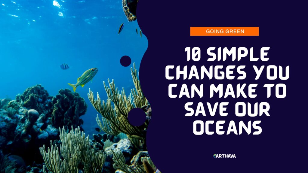 10 Simple Changes You Can Make to Save Our Oceans