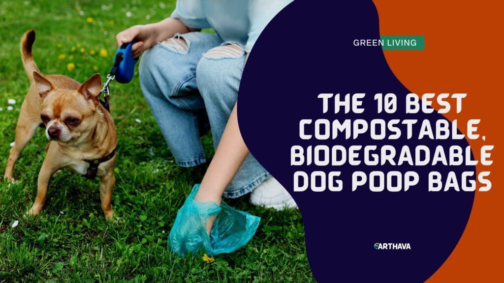 Eco-friendly compostable and biodegradable dog poop bags with strong leak-proof design and easy-to-tear perforations for sustainable pet care.