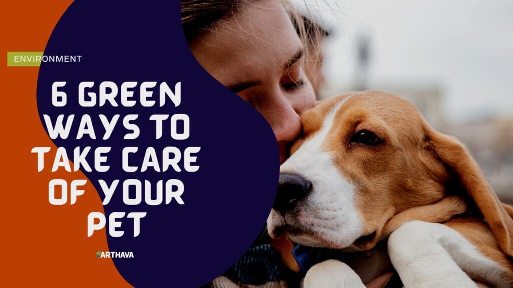 6 Green Ways to Take Care of Your Pet