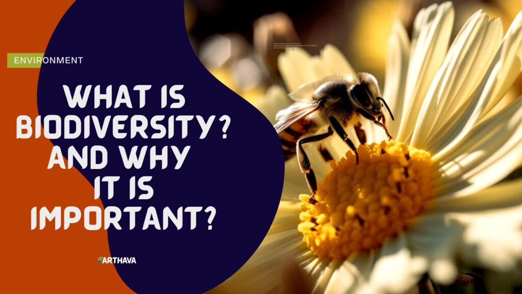 What Is Biodiversity? And Why It Is Important? 