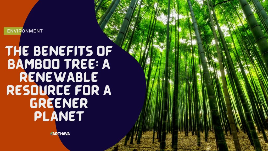 The Benefits of Bamboo Tree: A Renewable Resource for a Greener Planet