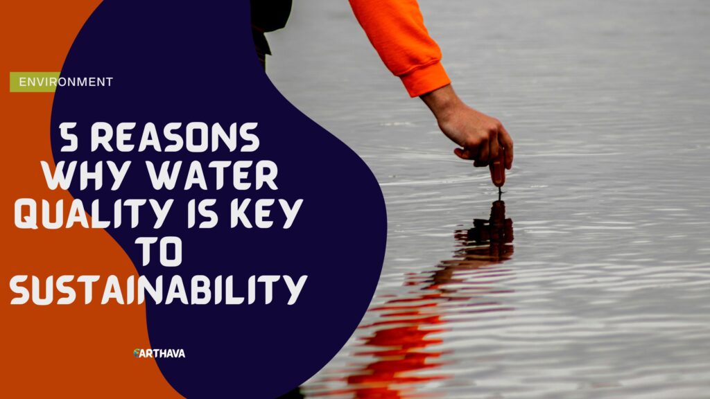 5 Reasons Why Water Quality Is Key to Sustainability