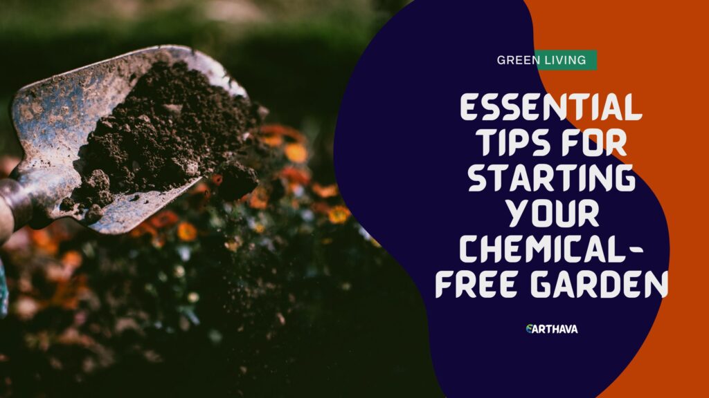 Essential Tips for Starting Your Chemical-Free Garden