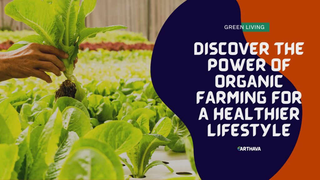 Discover the Power of Organic Farming for a Healthier Lifestyle
