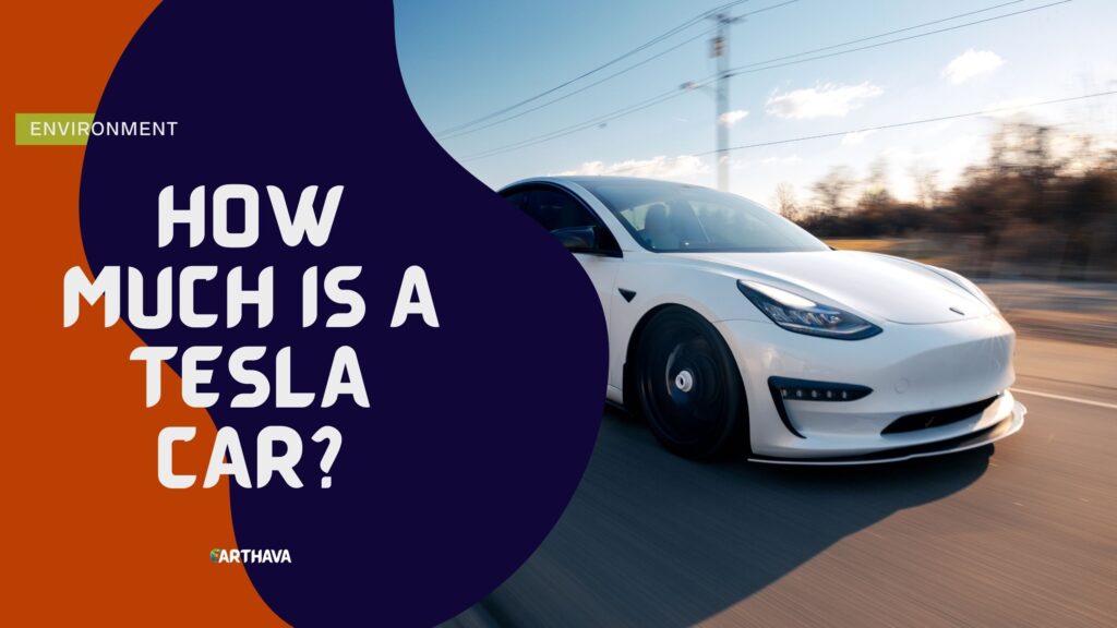 How Much Is a Tesla Car?