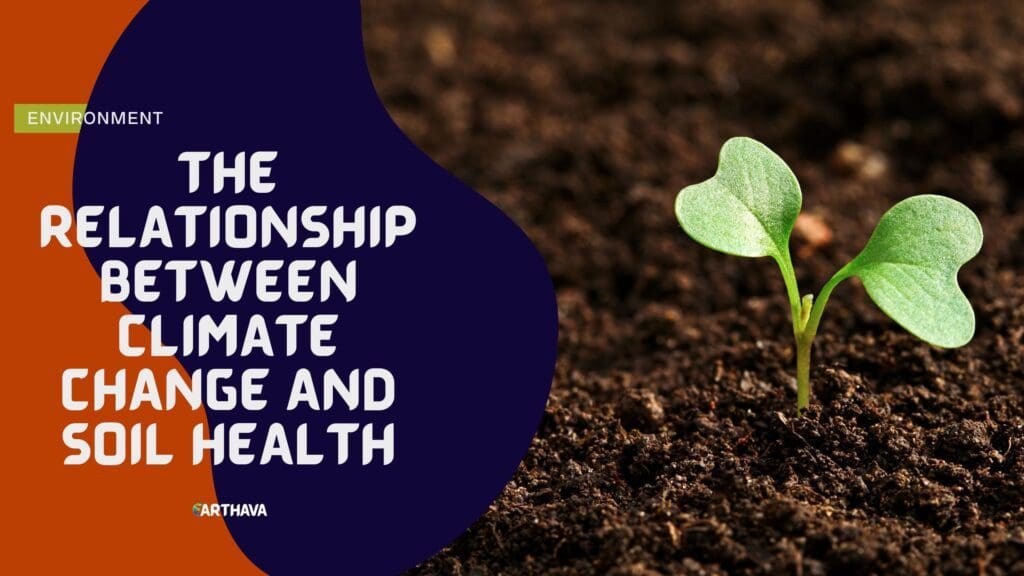The Relationship Between Climate Change and Soil Health