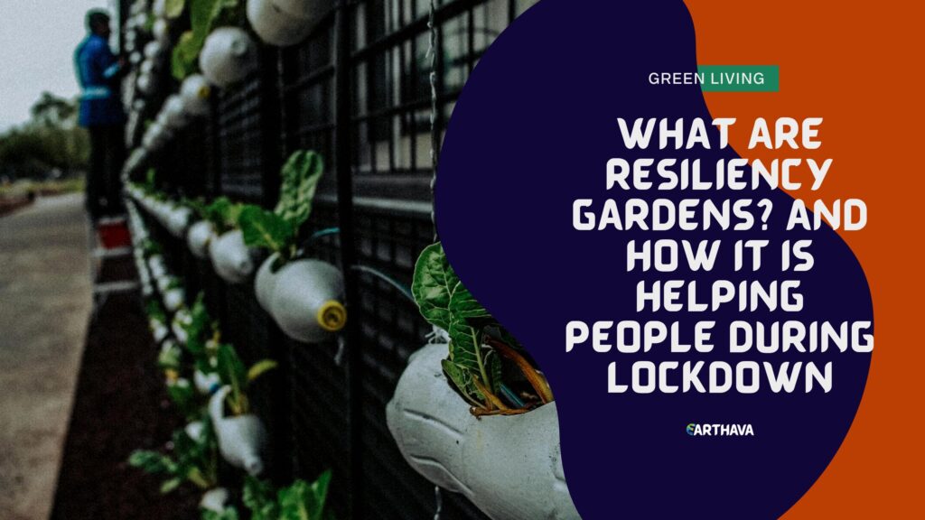 What Are Resiliency Gardens? And How It Is Helping People During Lockdown