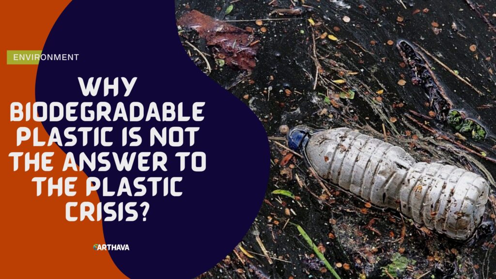 Why Biodegradable Plastic Is Not the Answer to the Plastic Crisis?