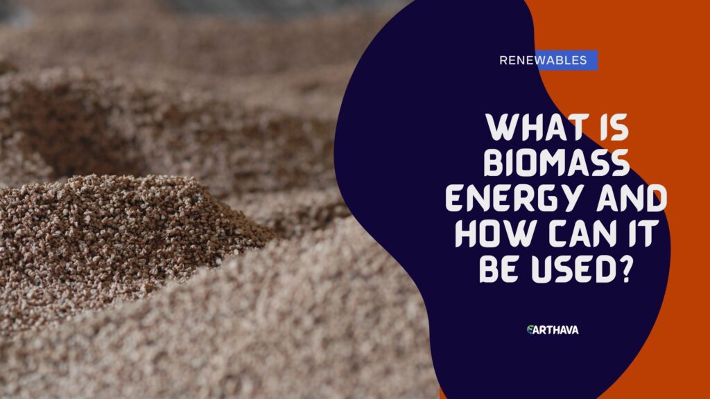 What Is Biomass Energy and How Can It Be Used?