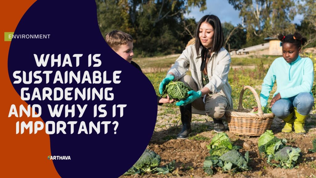 What is Sustainable Gardening And Why Is It Important?