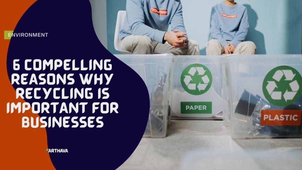 6 Compelling Reasons Why Recycling is Important for Businesses