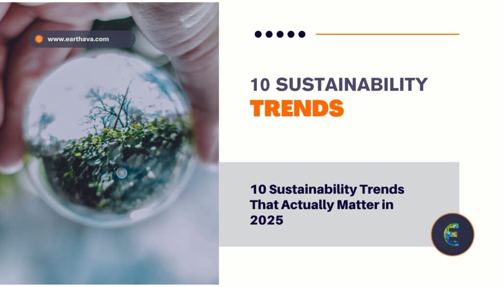 10 Sustainability Trends That Actually Matter in 2025