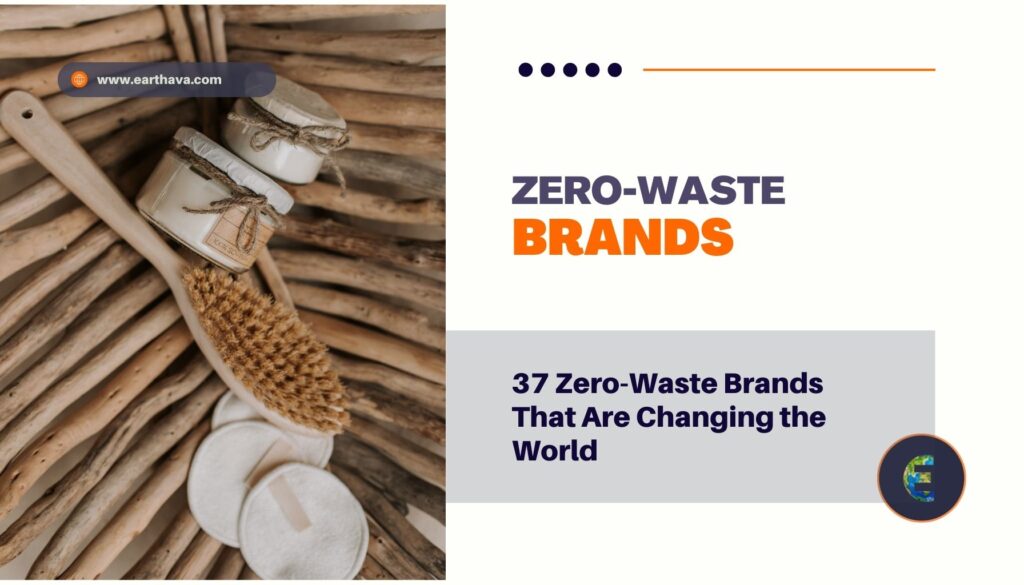 Featured image of article "37 Zero-Waste Brands That Are Changing the World: Sustainable Innovation Leaders" on Earthava