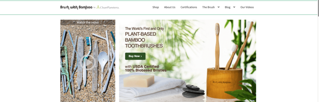 Brush with Bamboo
